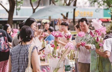 古城，“荷”你有約
