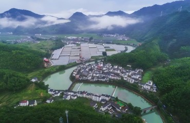 杭州“城鄉(xiāng)融合20條”出爐 撬動(dòng)鄉(xiāng)村發(fā)展新動(dòng)能
