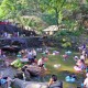 賽事游愈發(fā)火熱，品質游需求高企，這個暑期文旅消費市場有這些新變化