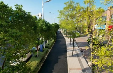 合肥新站高新區(qū)：“繡花功夫”鋪就民生“幸福路”