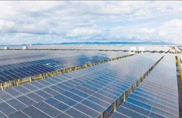 樂清樂清：灘涂之上，長出“綠電森林”