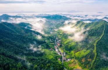 浙江生態(tài)環(huán)境公眾滿意度14年連升