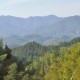“賣空氣”：林業(yè)碳票安徽探路記