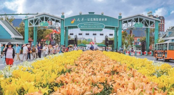花里大丰金秋红 多姿红韵绘就文旅盛宴