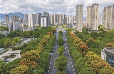 精細(xì)于“美” 讓溫州的城市生活更具品質(zhì)