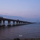 多元体验点燃长兴岛之夜，农文旅融合助力乡村振兴
