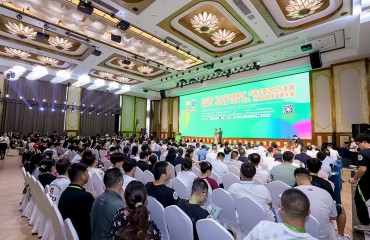 無(wú)為堅(jiān)果 大有可為