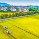 全國秋糧收獲過五成