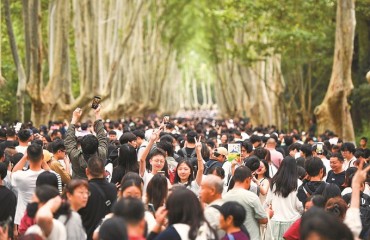 不止于“觀光”，南京成為“超級體驗場”
