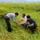 安徽：?“農(nóng)業(yè)保險(xiǎn)+”改革全面推開(kāi)