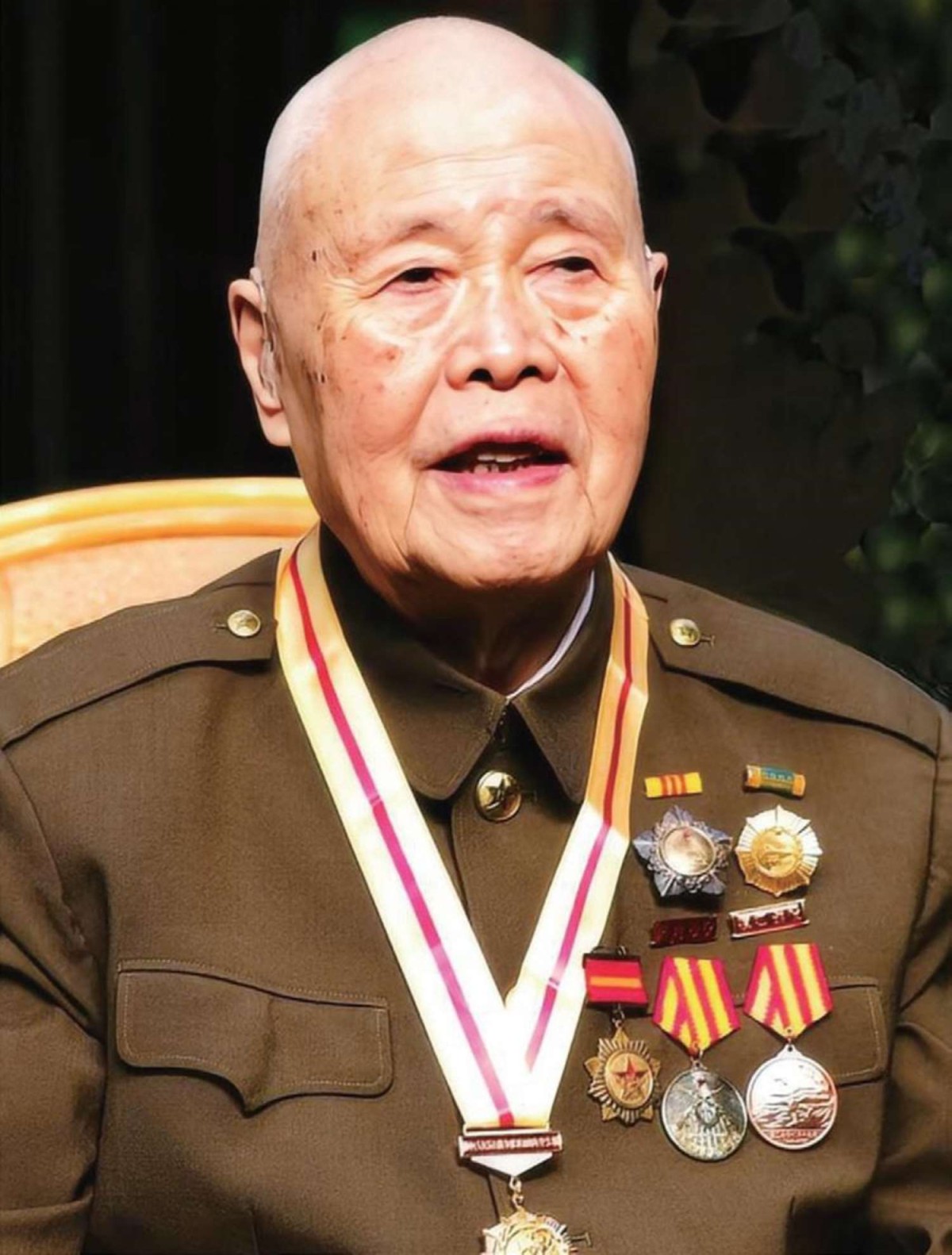 丁涟沄在 2015 年.jpg