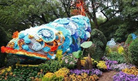 未展先火！市民提前打卡杭州植物园2025菊展