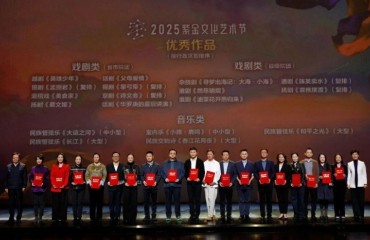 江苏兴化：获省级大奖，这部乡村振兴大戏“剧”好看