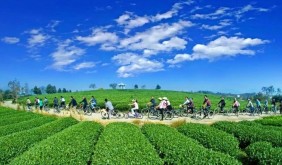 “寻味丽水·溯源地标”主题旅游线路发布