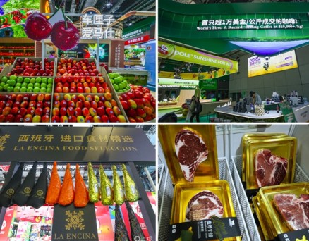 数字之中，读懂进博会这八年，中国进口这八年