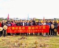 全国首款 南京“公证开镰米”的深层启示