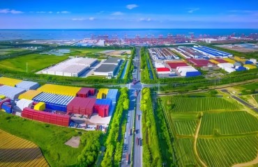 太仓港区以文明底色绘就新图景