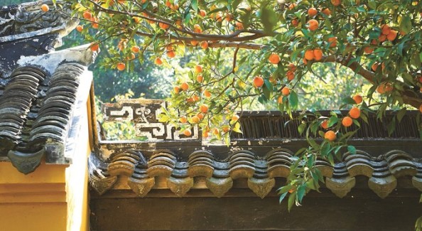 風雅東山起新韻