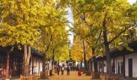 虎丘山：一叶知秋，更知千年