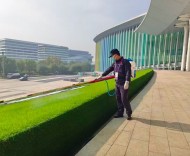 大上海为何对小小蚊子“大动干戈”？