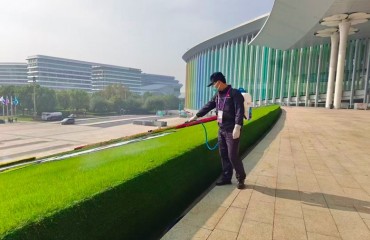 大上海为何对小小蚊子“大动干戈”？