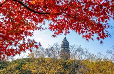 金色虎丘，等你来拍