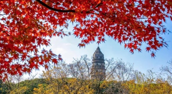 金色虎丘，等你来拍