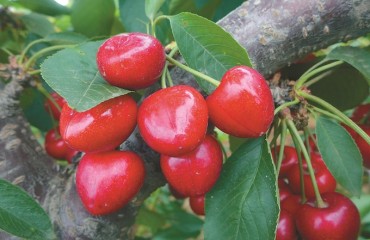 镇江与渭南共同谱写区域协调发展生动篇章