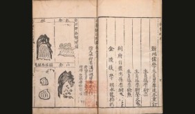 “当归黄浦春”勾勒上海印迹