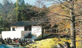 四明山迎来赏秋热 “网红”如何变“长红”?