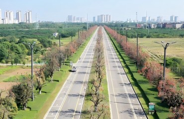 延续21年，一座城与鸟儿的“冬日之约”