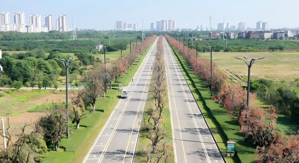 延续21年，一座城与鸟儿的“冬日之约”