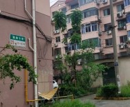 人民日报头版聚焦：上海宝山区社区治理来了“生力军”