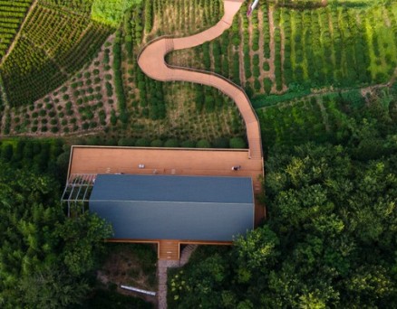 新华社：揭秘庐江之变的密码