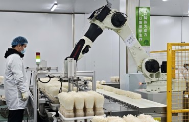 南谯农业“丰”水：“深耕”振兴路 硕果“满粮仓”