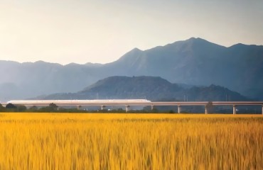 15日畅游长三角 3款高铁旅游计次票上线