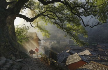 在丽水，看见诗画中国