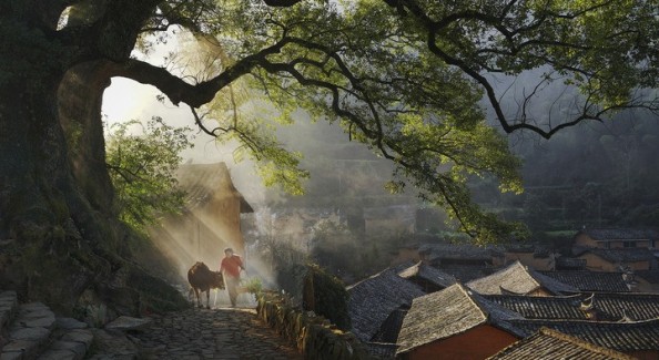 在丽水，看见诗画中国