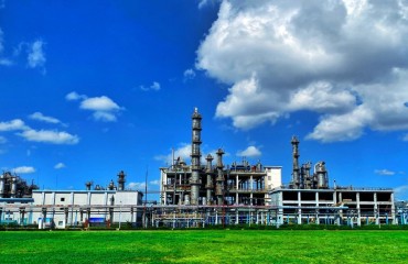 中国石化南化公司董事、党委书记杨正刚：践行全会部署，打造卓越南化