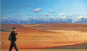 浙江美术馆开启跨年大展