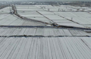 寒潮之下，晚播的冬小麦受影响吗？专家解答