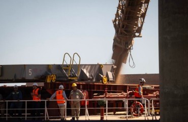 阿根廷首次向中国出口小麦