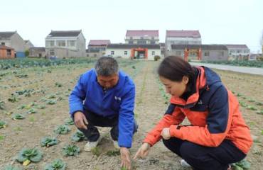 小地块 大“钱”坤