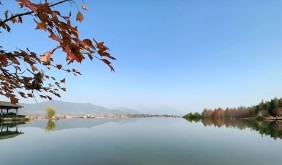 導(dǎo)演鏡頭下的“守拙園” 實(shí)力圈粉