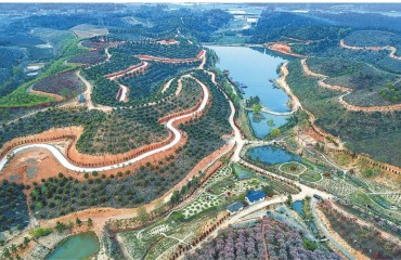 安徽：蹚出青山生金多方共赢新路径