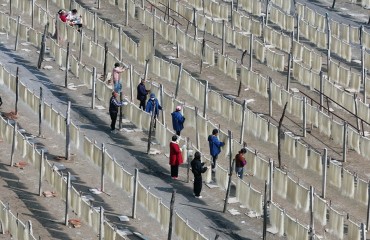 江苏淮安：一缕“银丝”兴乡村