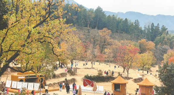 塔川秋色“四季”綻放