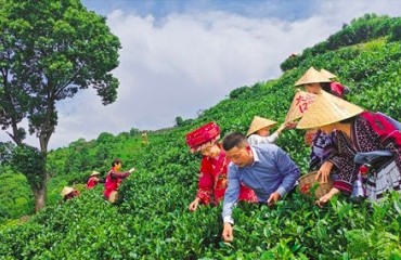 浙江已培養(yǎng)3000余名鄉(xiāng)村文化產(chǎn)業(yè)運(yùn)營師