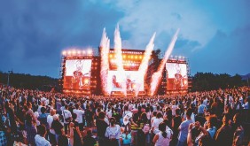 茉莉花盛開在“故鄉(xiāng)”六合