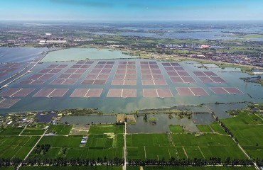 淮南凤台：在煤城，“种太阳”